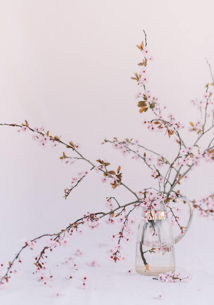 Wedding Flowers and Their Meanings - Cherry Blossom