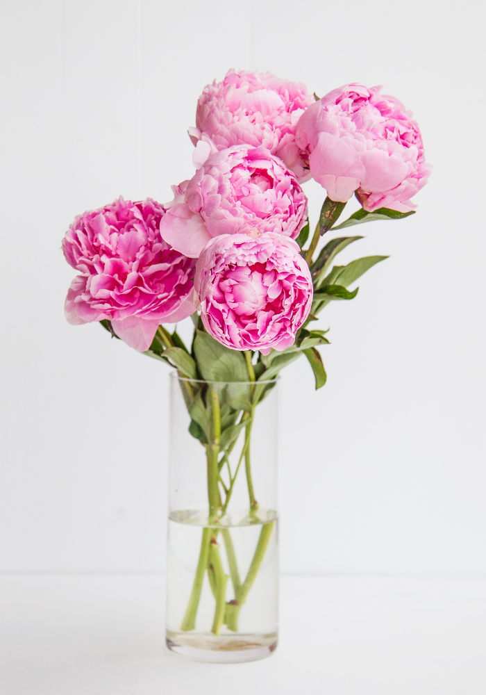 Wedding Flowers and Their Meanings - Peonies