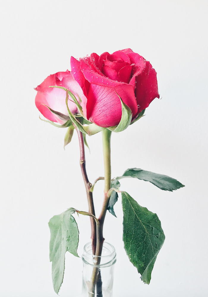 Wedding Flowers and Their Meanings - Traditional Roses