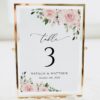 Blush Flowers Table Number Sign, Wedding Sign, Printable File, Edit Yourself, SH03
