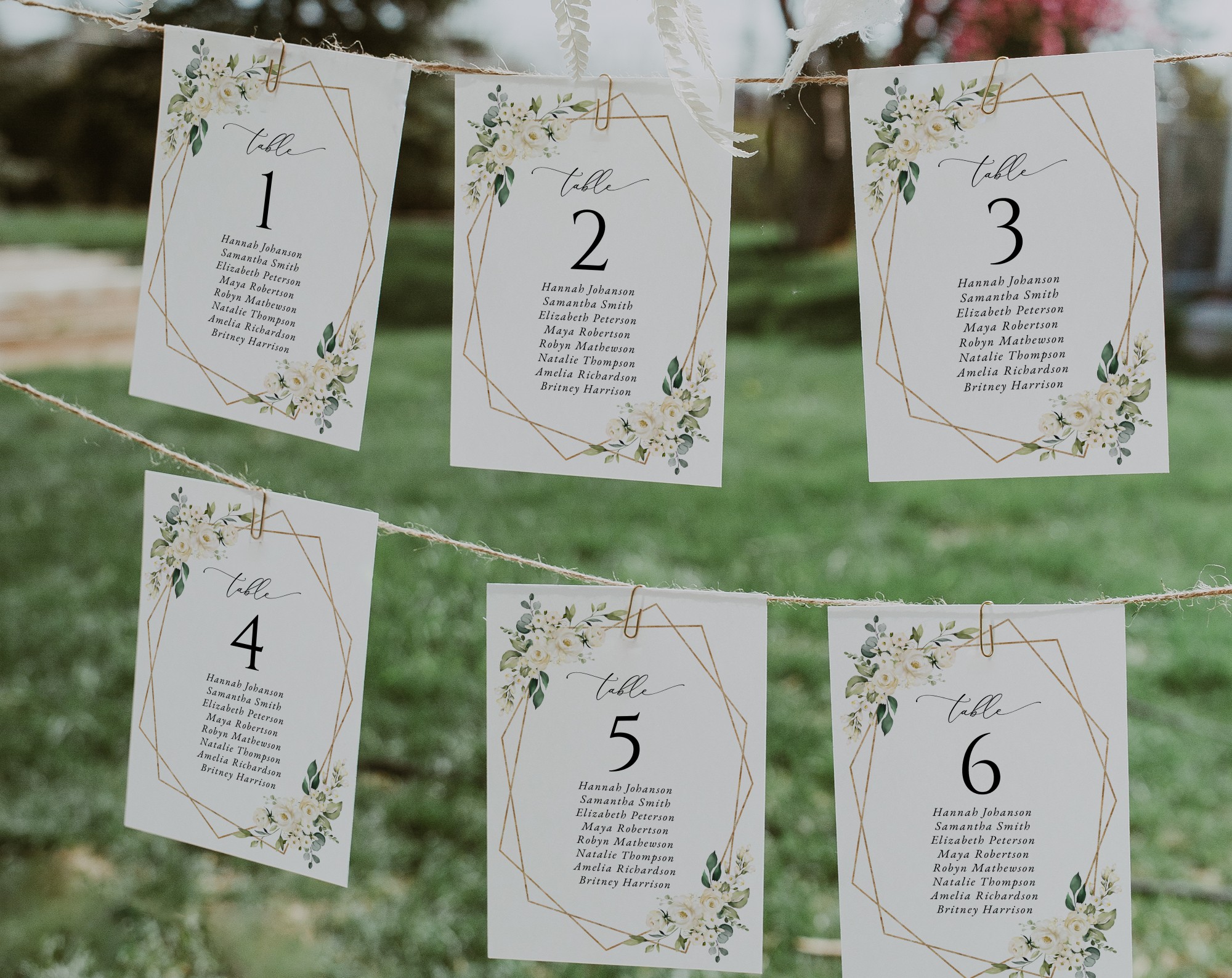 White Flowers Seating Cards, Wedding Stationery, Printable File, Edit Yourself, SH33