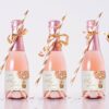 Bear and Pink Balloons Mini Champagne Labels, Baby Shower Decoration, Girl Baby Shower, Printable File, Edit Yourself, SH51