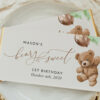 Teddy Bear with Green Balloons Chocolate Bar Wrapper, First Birthday, Boy Birthday, Printable File, Edit Yourself, SH71