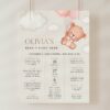 Baby Bear with Pink Balloons Milestone Sign, Birthday Sign, First Birthday, Girl Birthday, Printable File, Edit Yourself, SH74