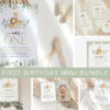 Safari Animals First Birthday Mini Bundle, Boy Birthday, Printable File, Edit Yourself, SH23