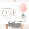 Pink Balloon Welcome Sign, Birthday Sign, First Birthday, Girl Birthday, Printable File, Edit Yourself, SH101