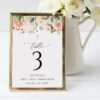 Pink, Orange and White Flowers Table Number Sign, First Holy Communion Sign, Printable File, Edit Yourself, SH157 Pink, Orange and White Flowers Table Number Sign, First Holy Communion Sign, Printable File, Edit Yourself, SH157