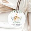 Safari Animals Favor Tags, Gift Tags, Gender Neutral Baby Shower, Printable File, Edit Yourself, SH189 Safari Animals Favor Tags, Gift Tags, Gender Neutral Baby Shower, Printable File, Edit Yourself, SH189