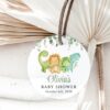 Cute Dinosaurs Favor Tags, Gift Tags, Gender Neutral Baby Shower, Printable File, Edit Yourself, SH190 Cute Dinosaurs Favor Tags, Gift Tags, Gender Neutral Baby Shower, Printable File, Edit Yourself, SH190